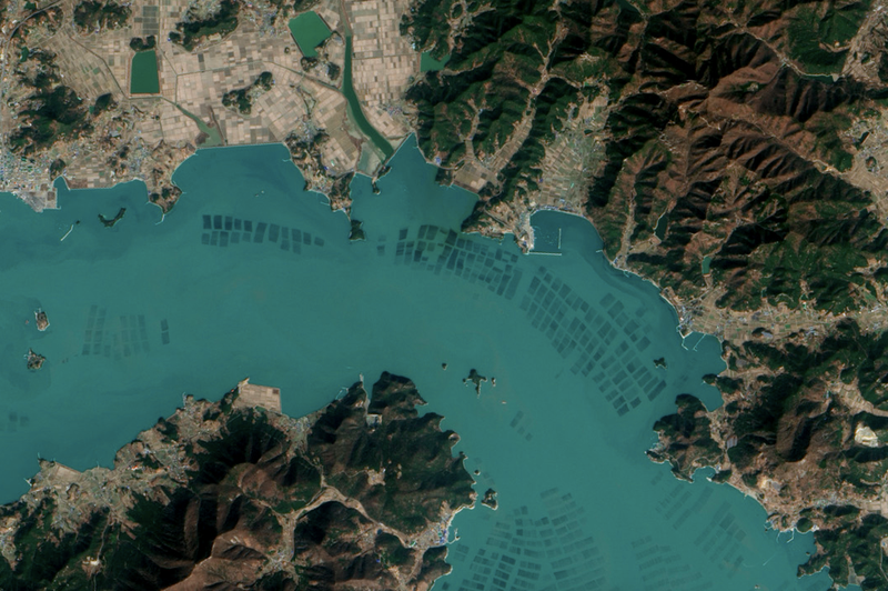 Illustration for article titled El extraño paisaje de las granjas de algas de Corea, desde el espacio
